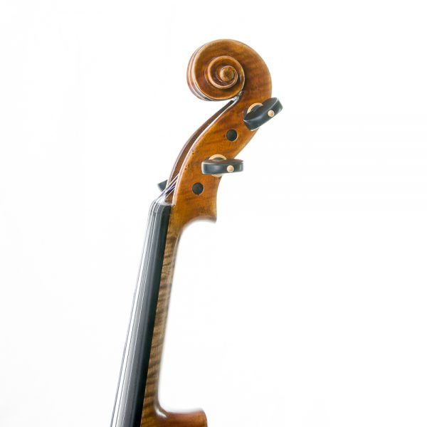 violin profesional antonio wang verona